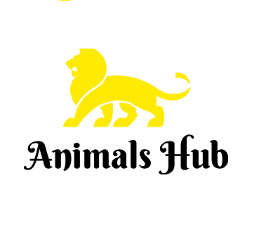 Animals Hub