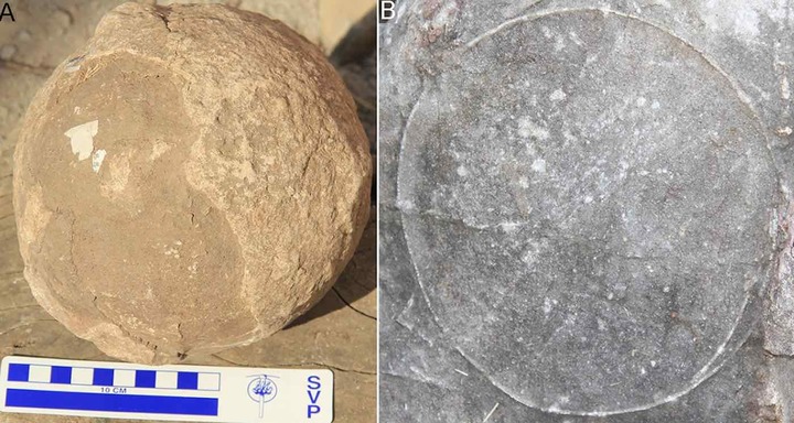 Paleontologists in India Have Hit on an Epic Find: Hundreds of B