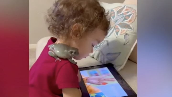 Toddler is Best Friends With a Frog: They Eat Together, Watch TV